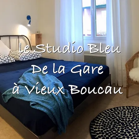 Le Bleu De La Gare *