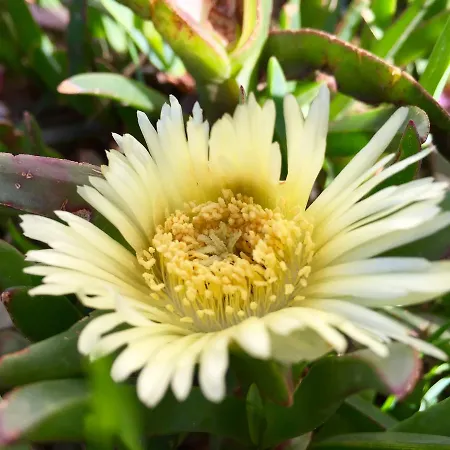 Apartmán Le Bleu De La Gare Vieux-Boucau-les-Bains