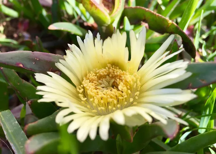 Apartamento Le Bleu De La Gare Vieux-Boucau-les-Bains